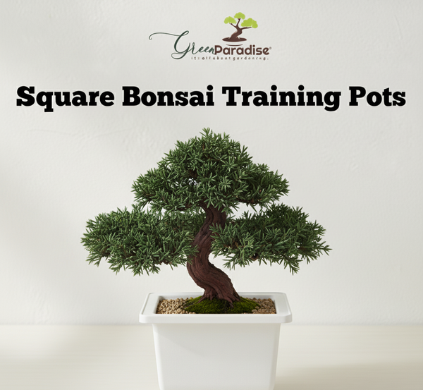 Green Paradise® Bonsai Pots Plastic Bonsai Training Pots (Square )(white )