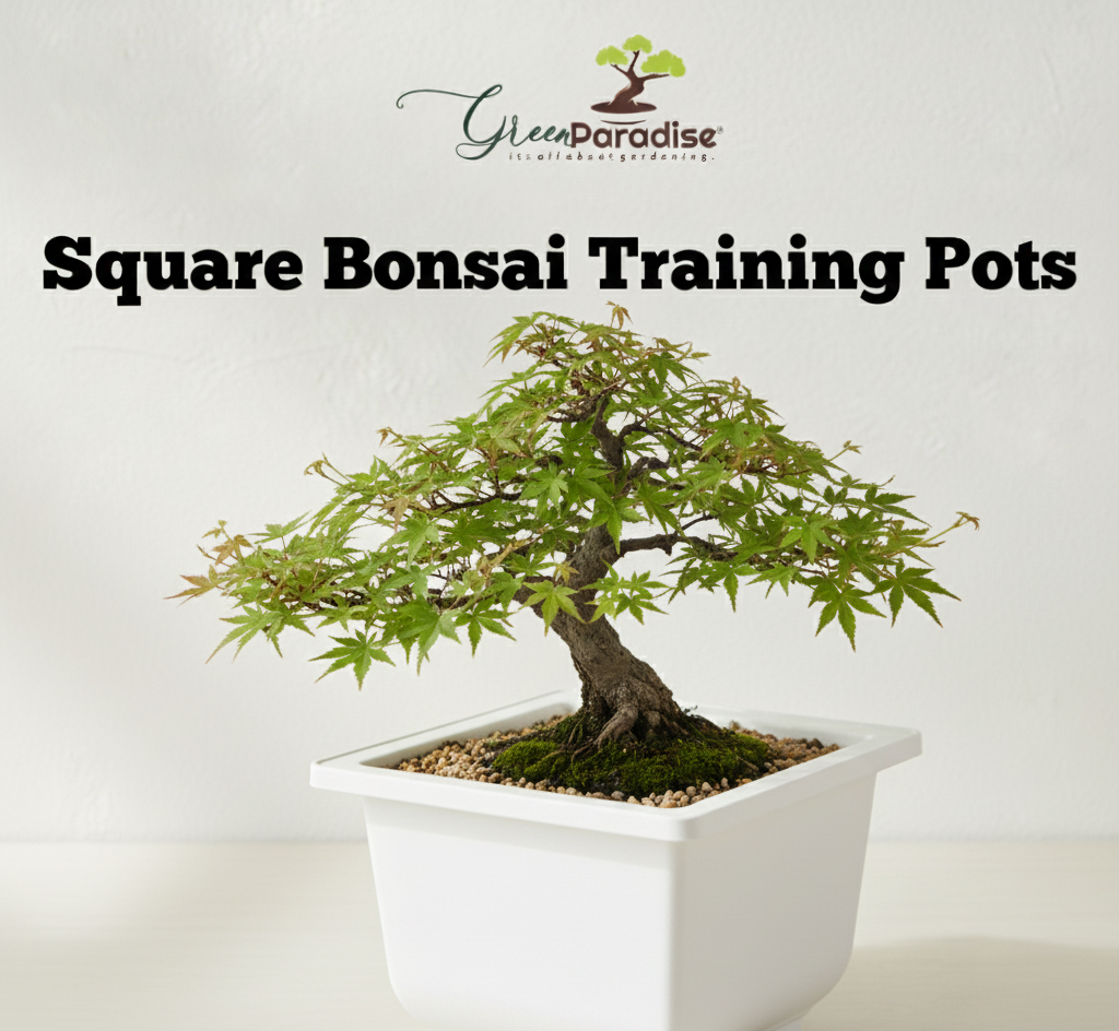 Green Paradise® Bonsai Pots Plastic Bonsai Training Pots (Square )(white )