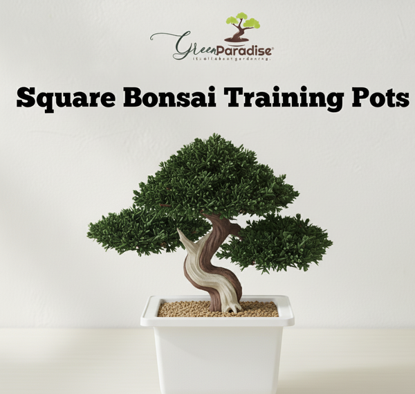Green Paradise® Bonsai Pots Plastic Bonsai Training Pots (Square )(white )