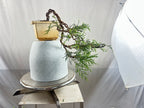 Chinensis juniper cascade bonsai
