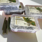 Green Paradise® Plant Grow Stick – 50 Sticks | Boost Growth, Flowering & Soil Fertility