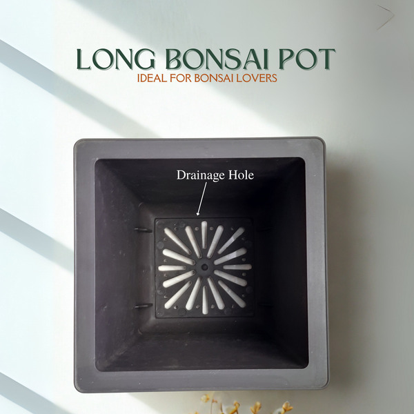 Green Paradise® Bonsai Training Pots plastic pots Tall Square bonsai pots purple clay color Plastic Bonsai Pots