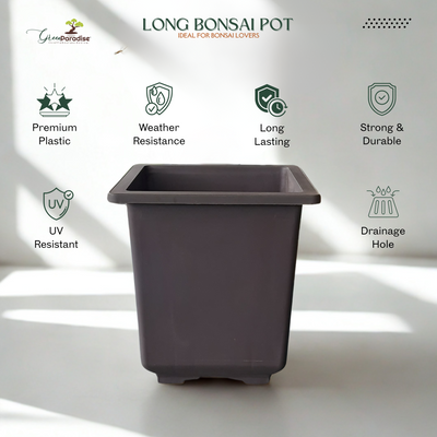 Green Paradise® Bonsai Training Pots plastic pots Tall Square bonsai pots purple clay color Plastic Bonsai Pots