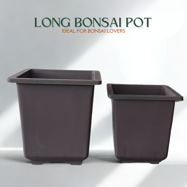 Green Paradise® Bonsai Training Pots plastic pots Tall Square bonsai pots purple clay color Plastic Bonsai Pots