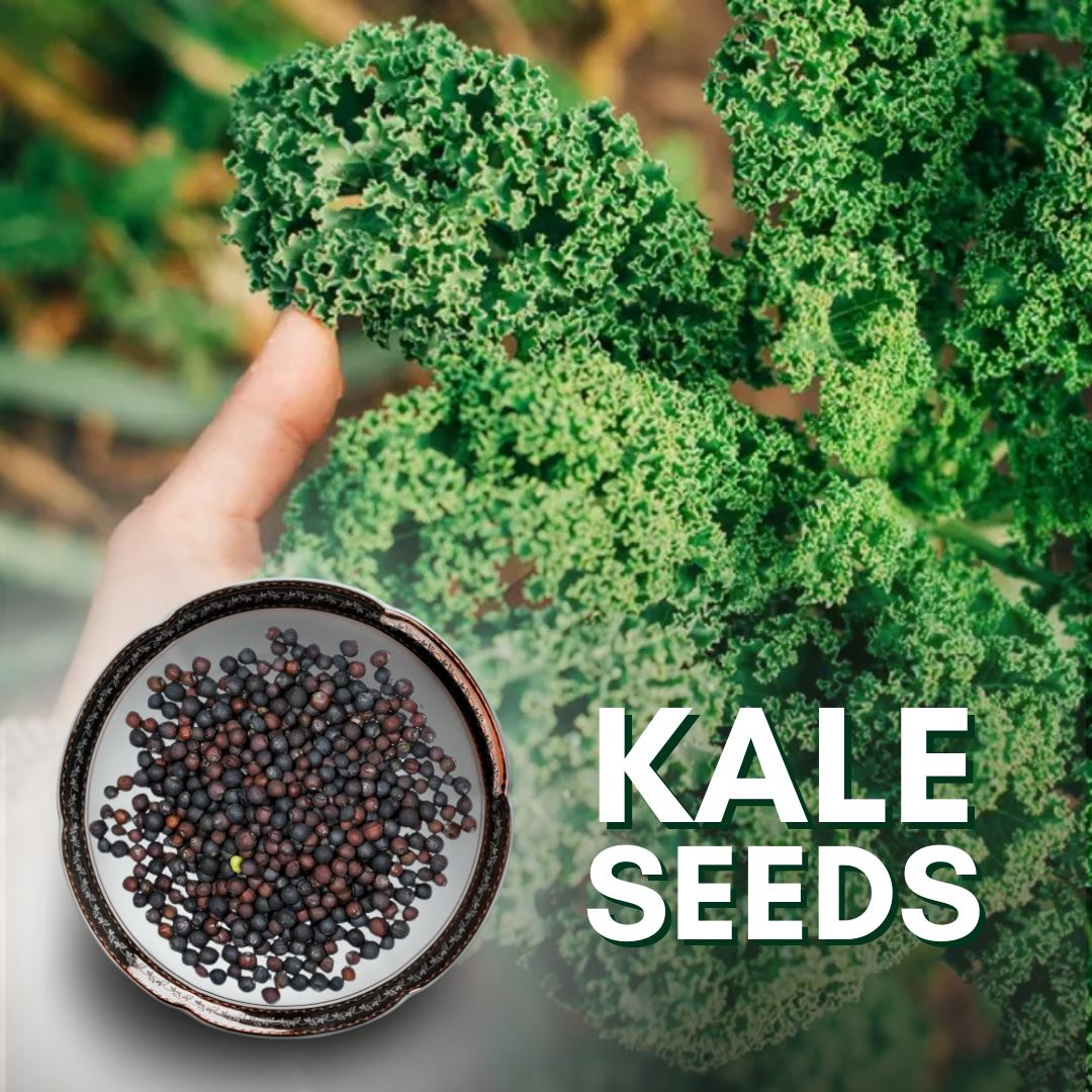 Green Paradise® Kale Seeds