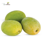 Exclusive Rajapuri Mango Plant Grafted Plant