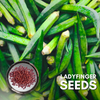 Green Paradise® Ladyfinger (Bhindi) Seeds Pack