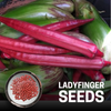 Red Ladyfinger F1 Hybrid Seeds Pack