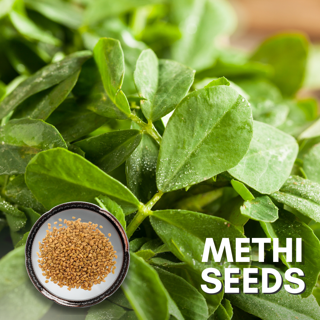 Green Paradise® Methi Seeds Pack