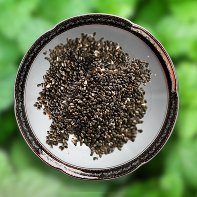 Green Paradise® Mint IMP. (Herbs) Seeds Pack