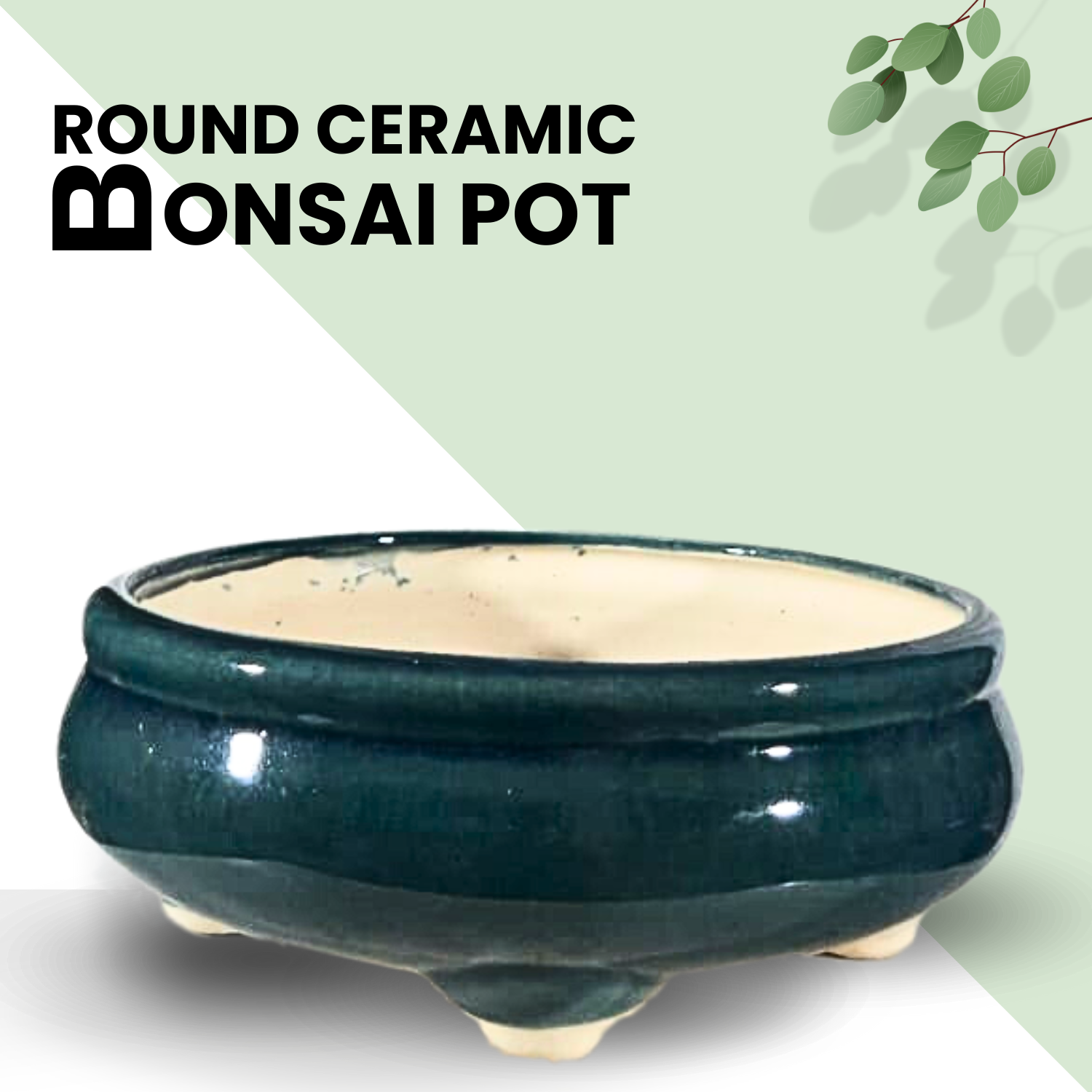 Green Paradise® Round Glossy Ceramic Pot for Bonsai Trees