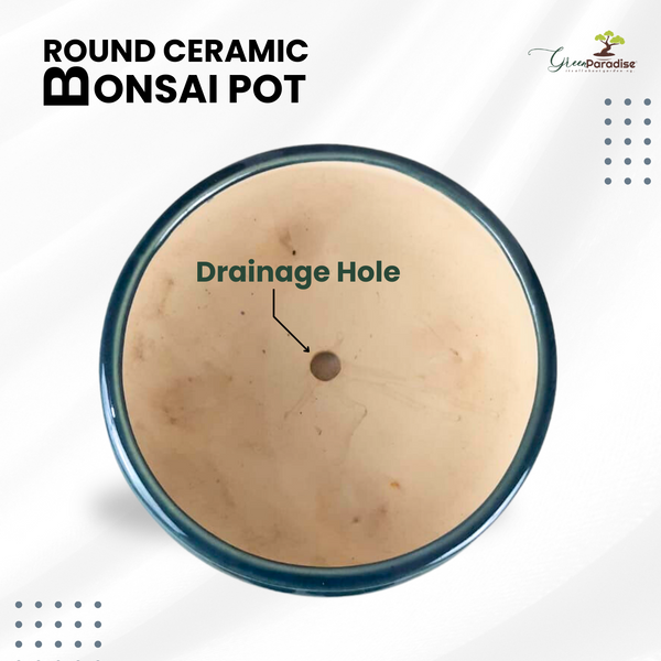 Green Paradise® Round Glossy Ceramic Pot for Bonsai Trees