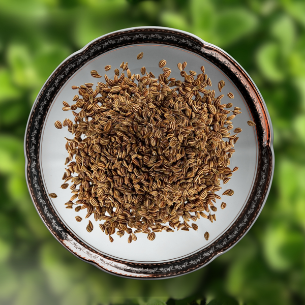 Green Paradise® Oregano (Herbs) Seeds Pack