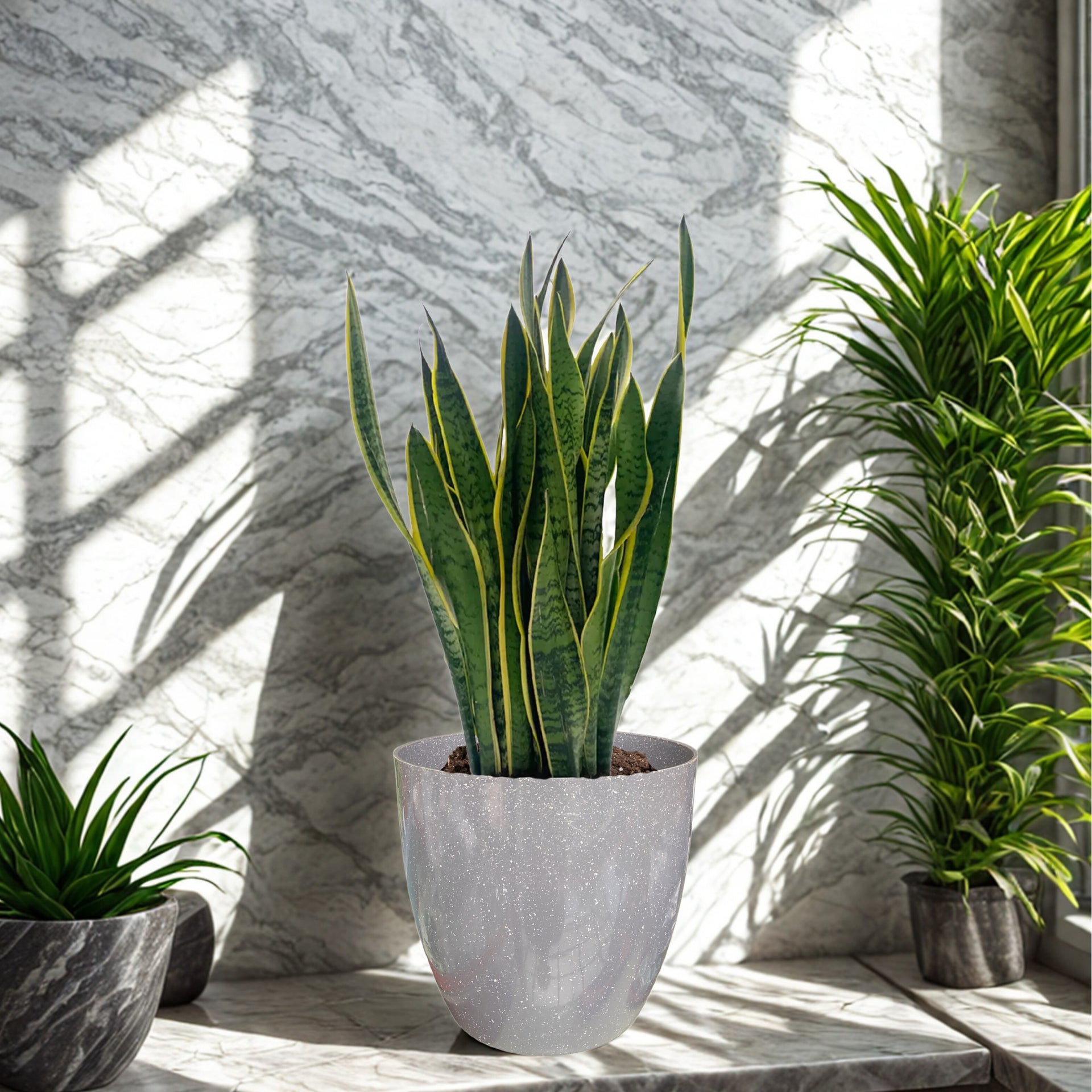 Green Paradise® Premium Grey Plastic Pot – Elegant Indoor & Outdoor Planter for your garden