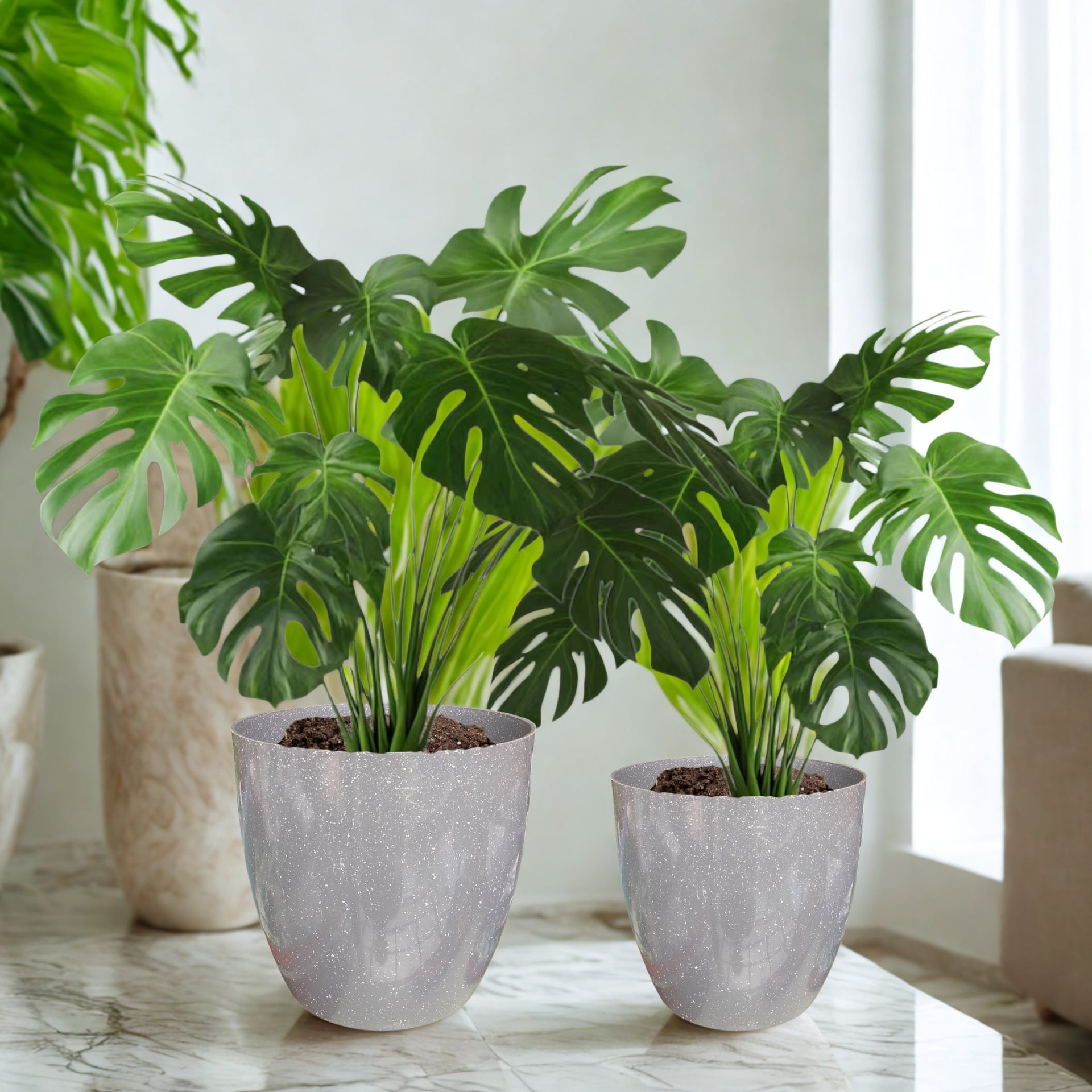 Green Paradise® Premium Grey Plastic Pot – Elegant Indoor & Outdoor Planter for your garden