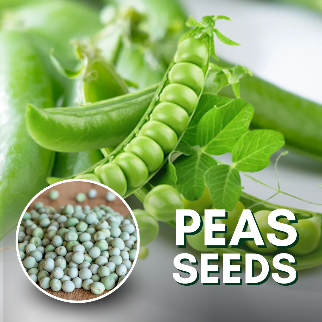 Green Paradise® Peas Seeds