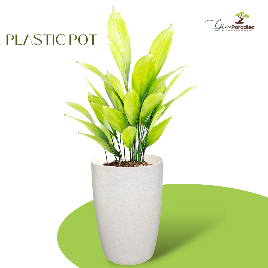 Green Paradise® Premium Plastic Pots Durable, Stylish & Lightweight Planters for Home & Garden