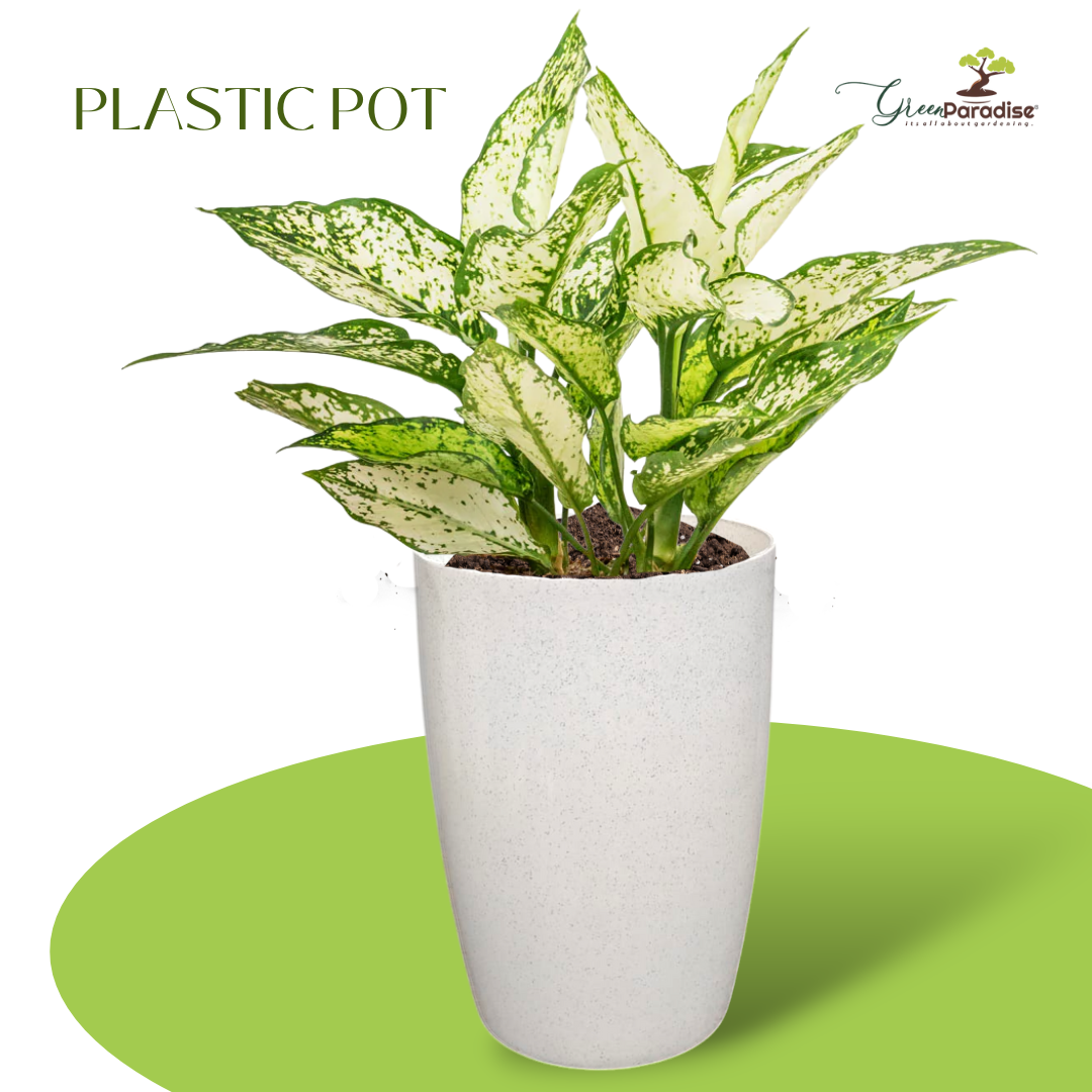 Green Paradise® Premium Plastic Pots Durable, Stylish & Lightweight Planters for Home & Garden