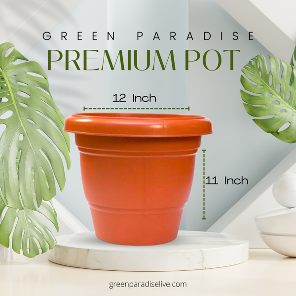 Green Paradise® Hi quality Premium Plastic Pot Terracotta Colour