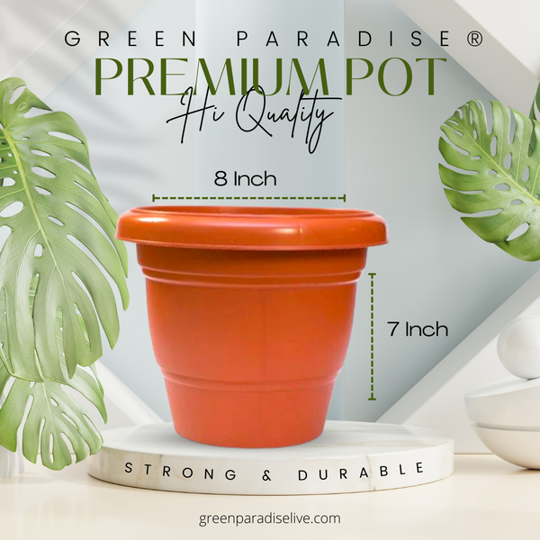 Green Paradise® Hi quality Premium Plastic Pot Terracotta Colour