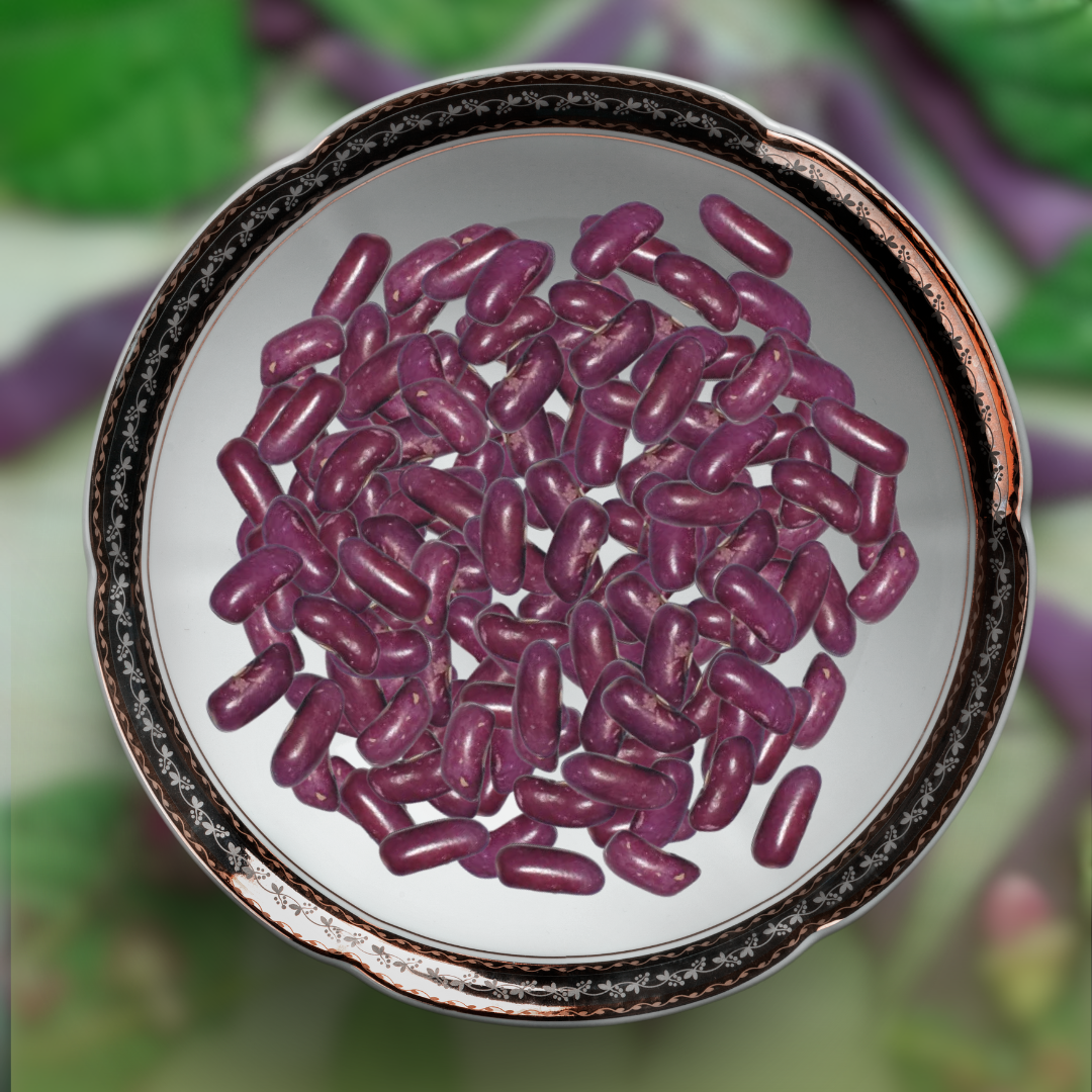 Green Paradise® Purple Beans Seeds Pack