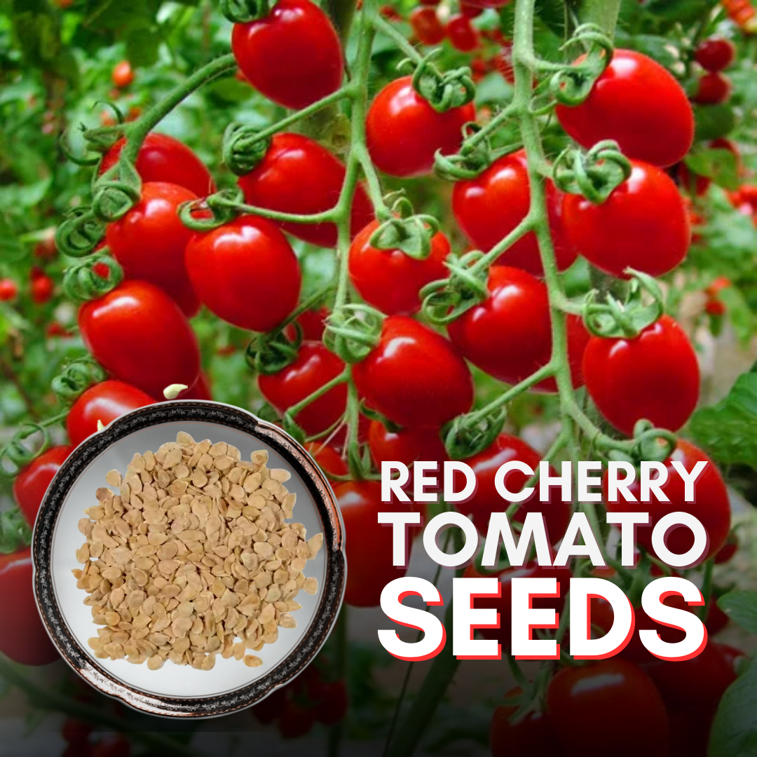 Green Paradise® Red Cherry Tomato Seeds