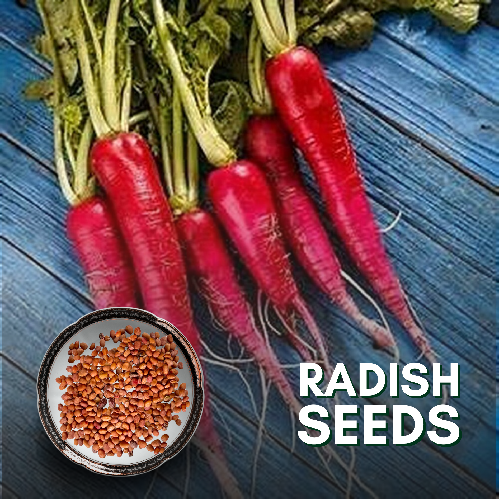 Green Paradise® Exotic Red Radish Seeds Pack