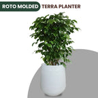 Green Paradise® Terra Rotomolded Planter – Unbreakable, Lightweight Pot with Marble Finish (Indoor & Outdoor Use)