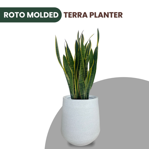 Green Paradise® Terra Rotomolded Planter – Unbreakable, Lightweight Pot with Marble Finish (Indoor & Outdoor Use)
