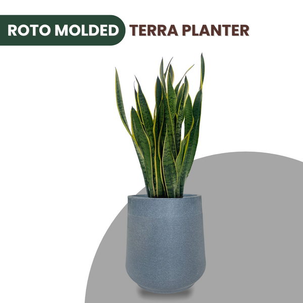 Green Paradise® Terra Rotomolded Planter – Unbreakable, Lightweight Pot with Marble Finish (Indoor & Outdoor Use)