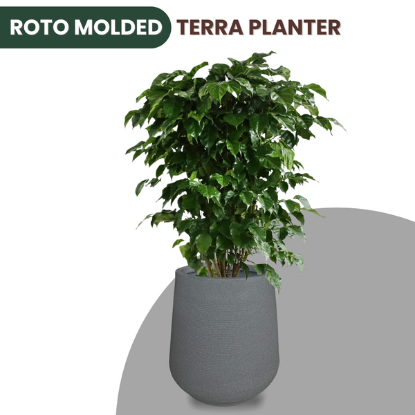 Green Paradise® Terra Rotomolded Planter – Unbreakable, Lightweight Pot with Marble Finish (Indoor & Outdoor Use)