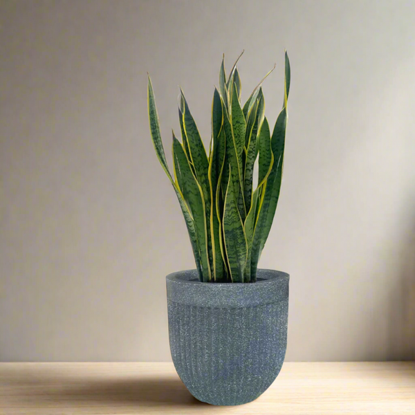 Green Paradise® Roto Molded Marble Finish Round Planter – 12 Inch – Lightweight, Unbreakable, Marble Finish, Drainage Hole, Outdoor & Indoor Use