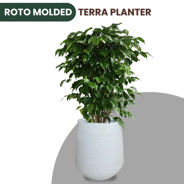 Green Paradise® Terra Rotomolded Planter – Unbreakable, Lightweight Pot with Marble Finish (Indoor & Outdoor Use)