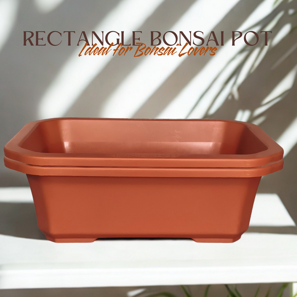 Green Paradise® Premium Rectangular Bonsai Pot Durable Plastic 40cm pot