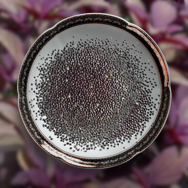 Green Paradise® Red Cholai F1 Hybrid Seeds Pack