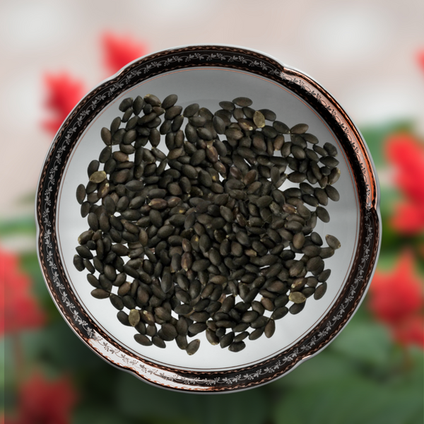 Green Paradise® Red Salvia Flower Seeds Pack