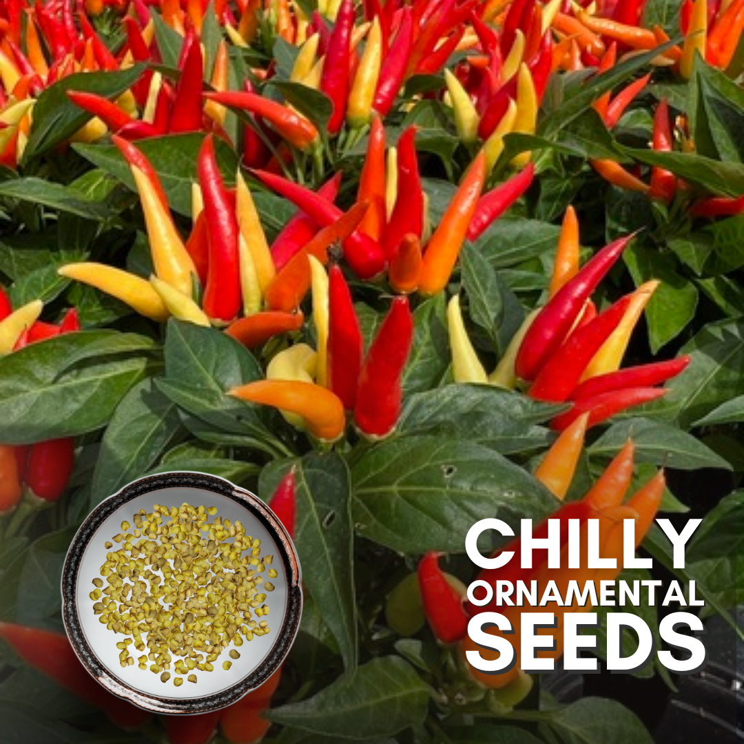 Green Paradise® Chilly Ornamental Seeds Pack