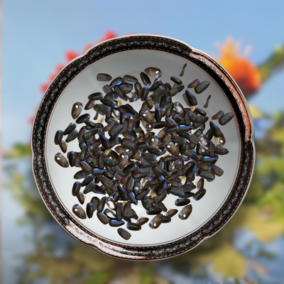 Green Paradise® Red Sunflower (Improved) Seeds Pack