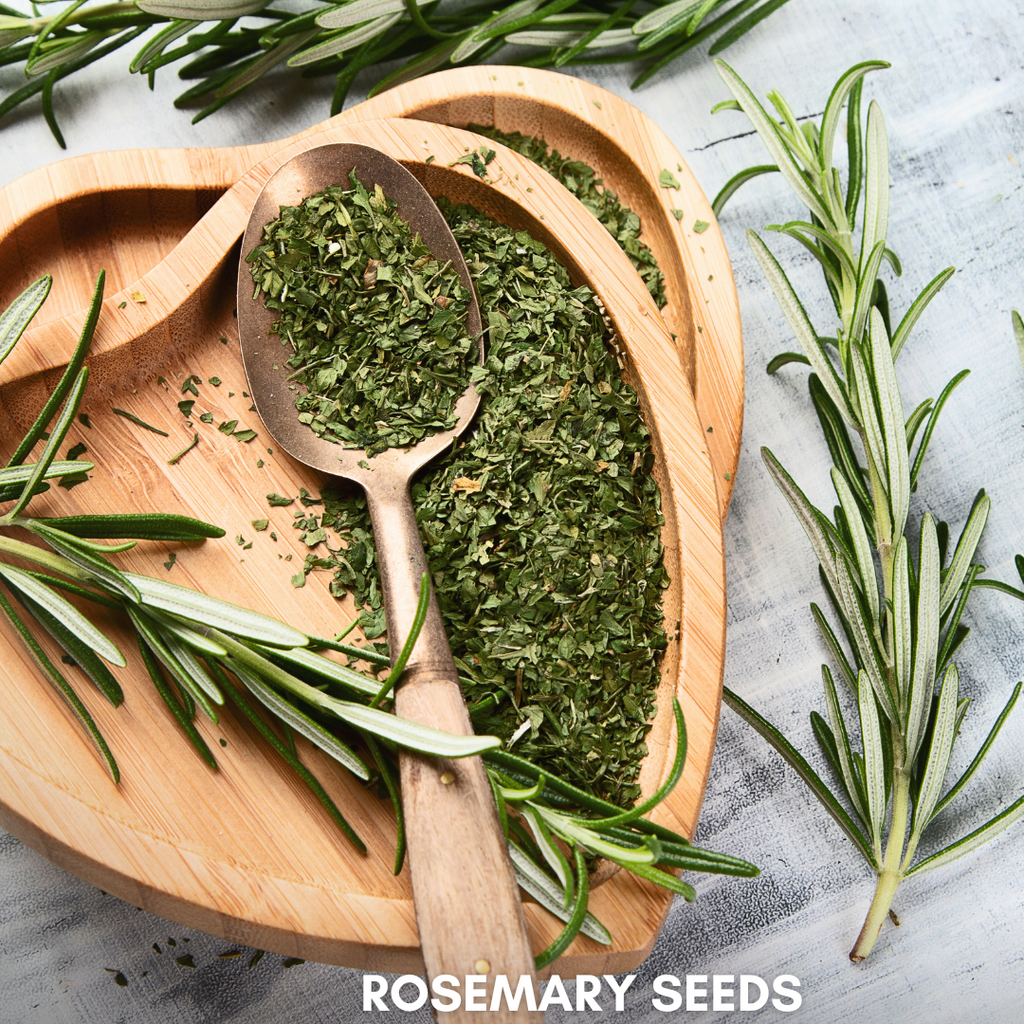 Green Paradise® Rosemary (IMP) Seeds Pack