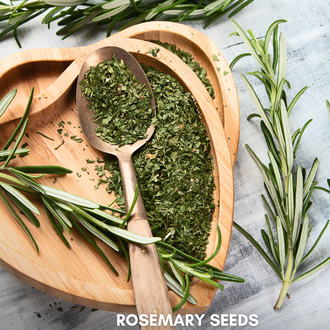 Green Paradise® Rosemary (IMP) Seeds Pack