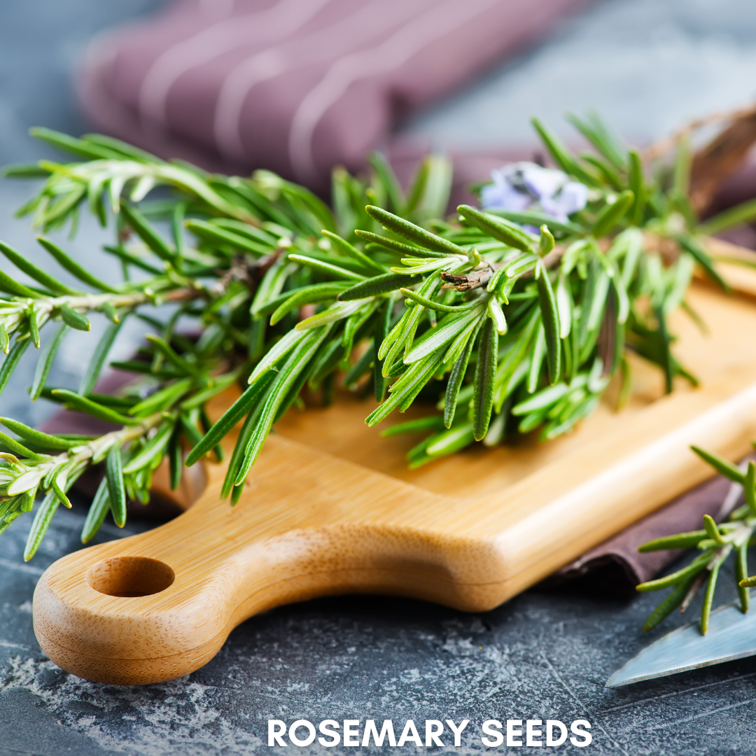 Green Paradise® Rosemary (IMP) Seeds Pack