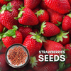 Green Paradise® Exotic New Strawberry Seeds Pack
