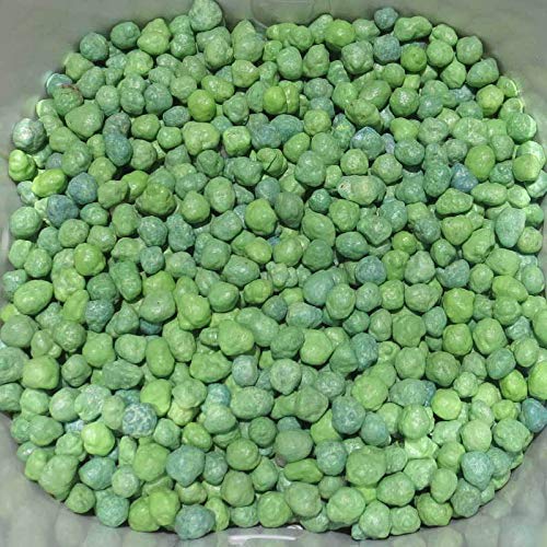 Slow Release Fertilizer (100g pack) 9 Months Slow Release NPK Fertilizer 11-11-16 + Micronutrients for Bonsai and Other Garden Plants (100g pack) once applied no need to give any fertilizer for next 9 months