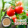 Green Paradise® Desi Tomato Seeds