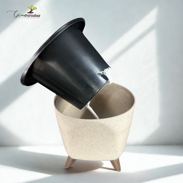 Green Paradise® Premium Plastic Pot  Durable & Lightweight Planters