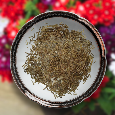 Green Paradise® Verbena F1 Hybrid Seeds Pack