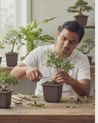 Green Paradise® Bonsai Training Pots plastic pots Tall Square bonsai pots purple clay color Plastic Bonsai Pots