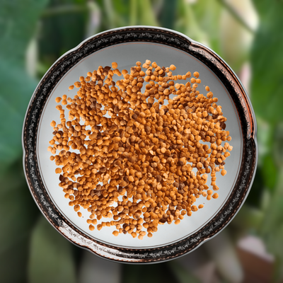 Green Paradise® White Long Brinjal F1 Hybrid Seeds Pack