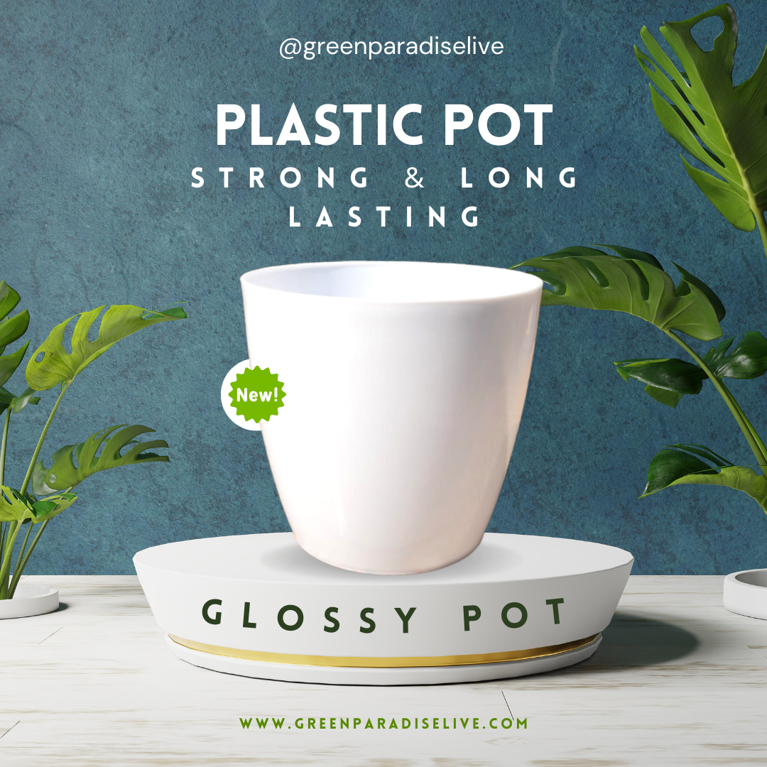 Green Paradise® Premium Glossy Plastic Pots ( set of 3 )
