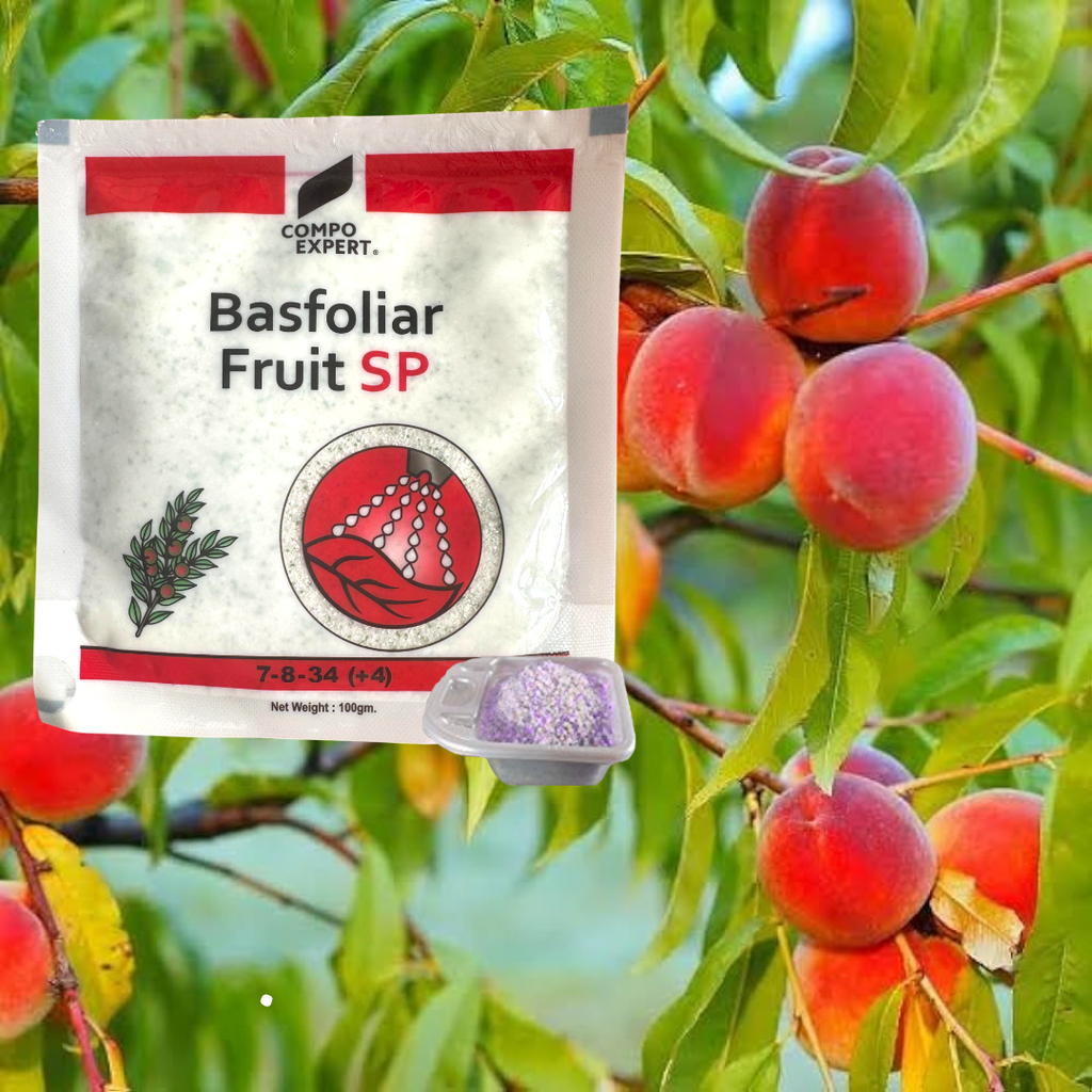 Basfoliar Fruit SP For Home Garden & Plants-The Ultimate Plant Nutrition Solution (100 gm)